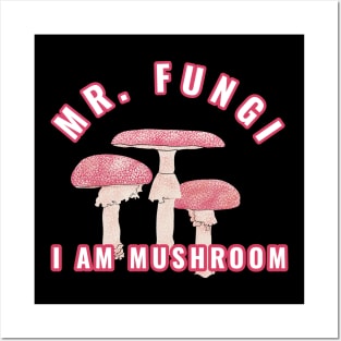 Funny Rustic Vintage Mr Fungi Mushroom Posters and Art